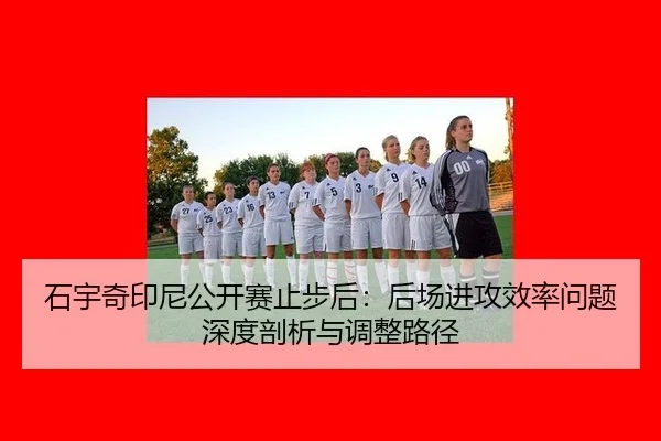 石宇奇印尼公开赛止步后：后场进攻效率问题深度剖析与调整路径