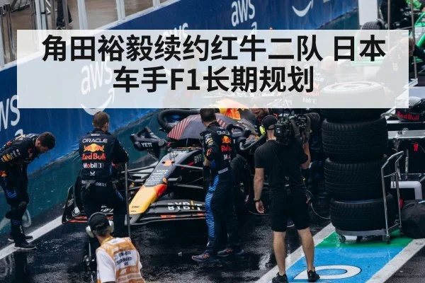 Red Bull F1 team