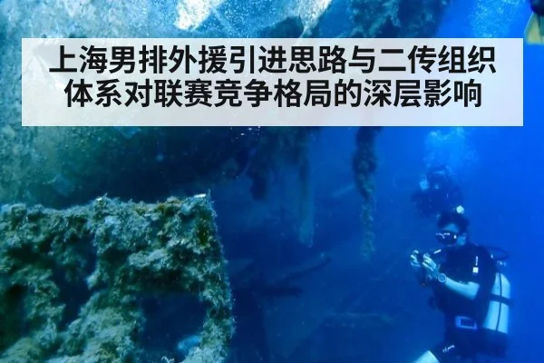 上海男排外援引进思路与二传组织体系对联赛竞争格局的深层影响